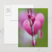 Carte Postale Couleur et forme dramatiques du coeur saignant (Devant / Derrière)