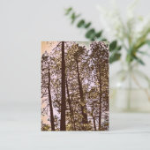 Carte Postale couleur par les arbres (Debout devant)