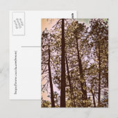 Carte Postale couleur par les arbres (Devant / Derrière)