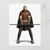 Carte Postale Couleur Robin (Devant)