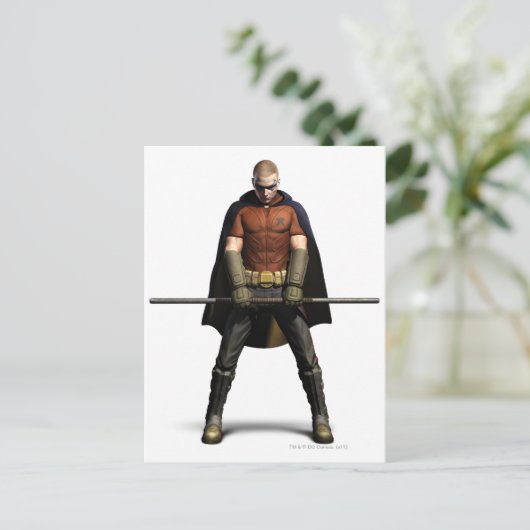 Carte Postale Couleur Robin (Debout devant)