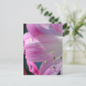 Carte Postale couleur rose Embrasser (Debout devant)