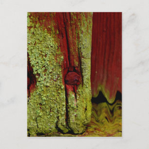 Carte Postale Couleur rouge typique de Falun suédois, très popul