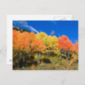 Carte Postale Couleur sur la montagne (Devant / Derrière)