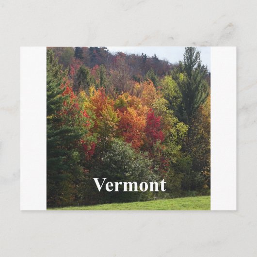 Carte Postale Couleur Vermont (Devant)