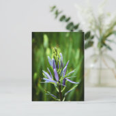 Carte Postale Couleur violet (Debout devant)
