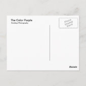 Carte Postale Couleur violet (Dos)