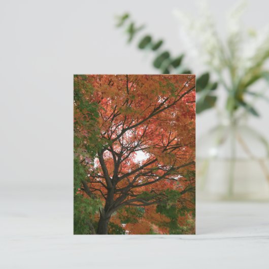 Carte Postale Couleurs (Debout devant)