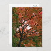 Carte Postale Couleurs (Devant / Derrière)