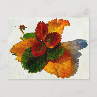 Carte Postale Couleurs colorées des feuilles d'automne