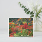 Carte Postale Couleurs d'automne (Debout devant)