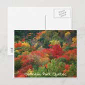 Carte Postale Couleurs d'automne (Devant / Derrière)
