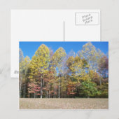 Carte Postale Couleurs d'automne (Devant / Derrière)