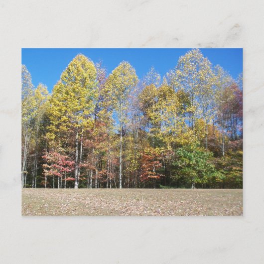 Carte Postale Couleurs d'automne (Devant)