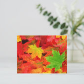 Carte Postale Couleurs d'automne (Debout devant)