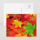 Carte Postale Couleurs d'automne (Devant / Derrière)