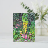 Carte Postale Couleurs d'automne (Debout devant)