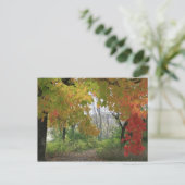 Carte postale Couleurs d'automne (Debout devant)