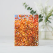 Carte Postale Couleurs d'automne (Debout devant)
