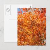 Carte Postale Couleurs d'automne (Devant / Derrière)