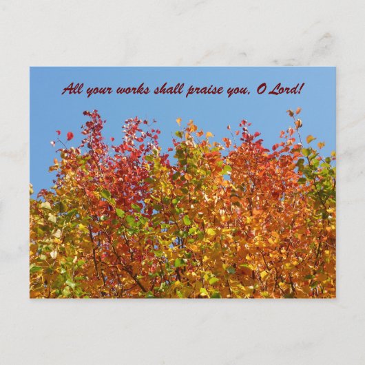 Carte Postale Couleurs d'automne 4 (Devant)