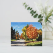 Carte Postale Couleurs d'automne à Cincinnati (Debout devant)