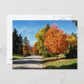 Carte Postale Couleurs d'automne à Cincinnati (Devant / Derrière)