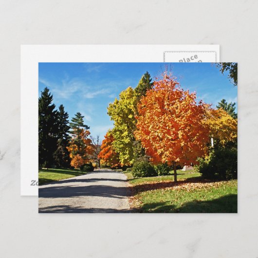 Carte Postale Couleurs d'automne à Cincinnati (Devant / Derrière)