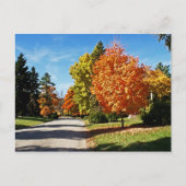 Carte Postale Couleurs d'automne à Cincinnati (Devant)