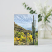 Carte Postale Couleurs d'automne Canyon Saguaro Sabino (Debout devant)