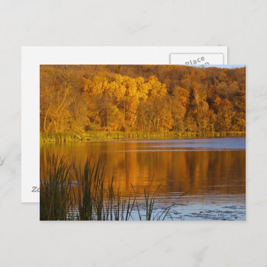 Carte Postale Couleurs d'automne dans le parc d'état de Maplewoo (Devant / Derrière)
