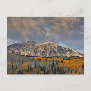 Carte Postale Couleurs d'automne des Peupliers, Keebler Pass