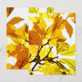 Carte Postale Couleurs d'automne, feuille (Devant / Derrière)