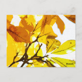 Carte Postale Couleurs d'automne, feuille (Dos)