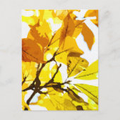 Carte Postale Couleurs d'automne, feuille (Devant)