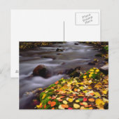 Carte Postale Couleurs d'automne le long de McGee Creek (Devant / Derrière)
