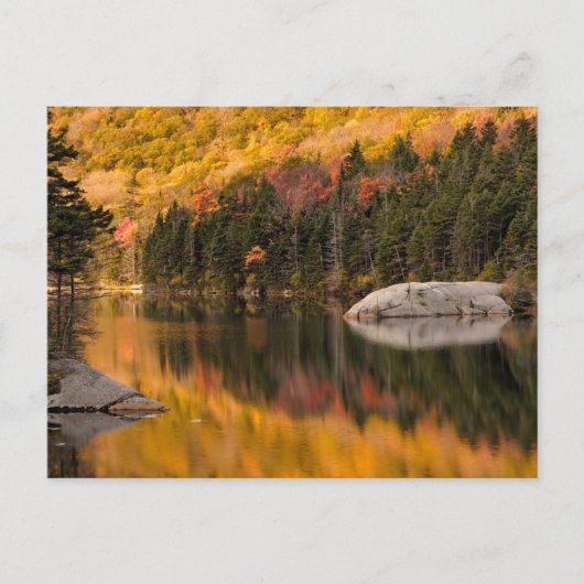 Carte Postale Couleurs d'automne reflétées sur l'étang de castor (Devant)