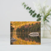Carte Postale Couleurs d'automne reflétées sur l'étang de castor (Debout devant)