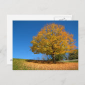 Carte Postale Couleurs d'automne, Virginie-Occidentale (Devant / Derrière)