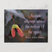 Carte Postale Couleurs de l'Esprit Citation Emerson (Devant)