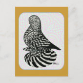 Carte Postale Couleurs de tondeuse (Devant)