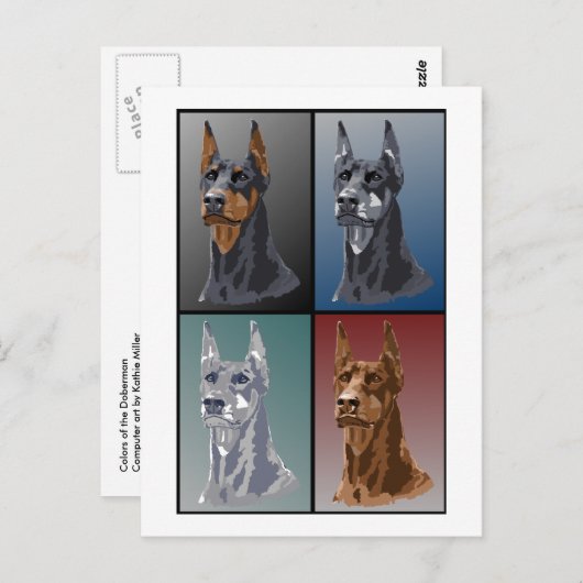 Carte Postale Couleurs Doberman (Devant / Derrière)