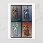 Carte Postale Couleurs Doberman (Devant)