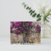 Carte Postale Couleurs d'Óbidos Portugal  (Debout devant)