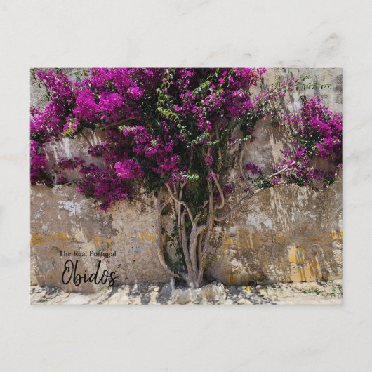 Carte Postale Couleurs d'Óbidos Portugal  (Devant)