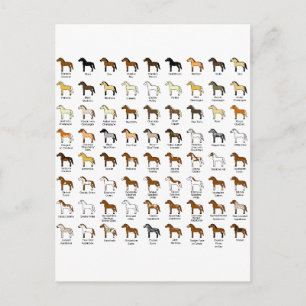 Carte Postale Couleurs du cheval