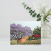 Carte Postale Couleurs du Haut Pays Maui (Debout devant)