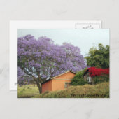 Carte Postale Couleurs du Haut Pays Maui (Devant / Derrière)