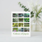 Carte Postale Couleurs du Japon (vert) (Debout devant)