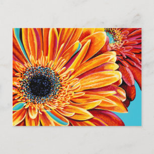 Carte Postale Couleurs éclatées II